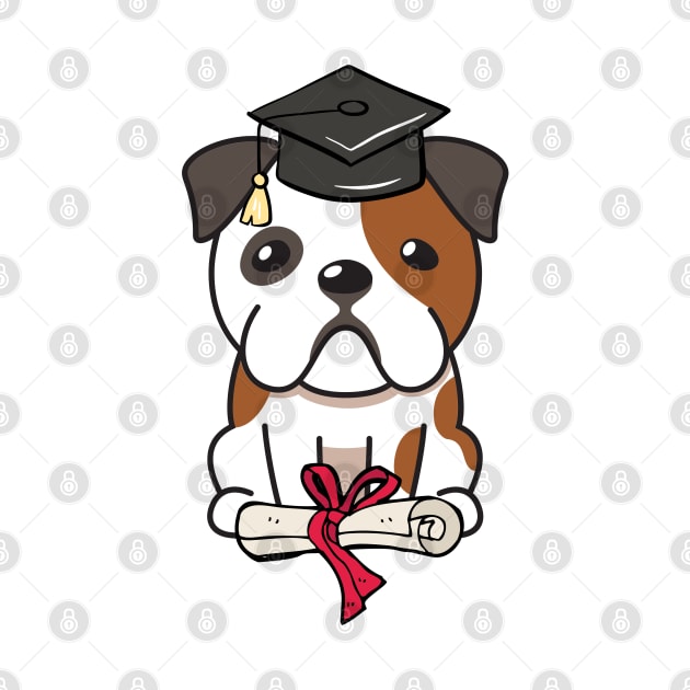 Funny Bulldog is graduating by Pet Station