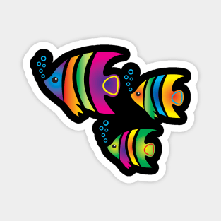 Funny fish. Flock of colorful fish Magnet