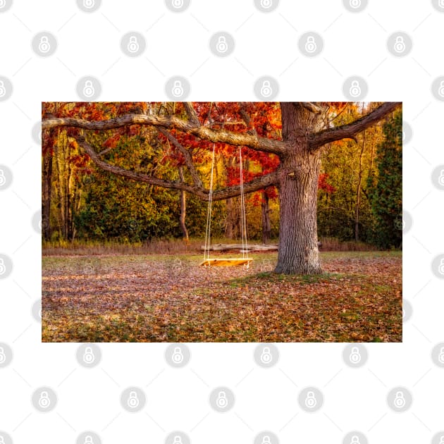 Tree Swing In Autumn by Robert Alsop