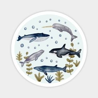 Whale Story | Watercolor Magnet
