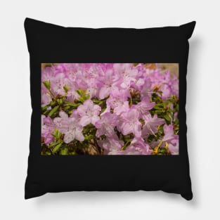 Pink Lilac Rhododendron Flowers Pillow