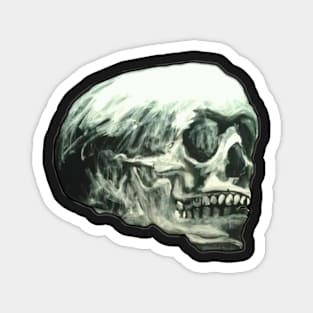 Floating Skull Magnet