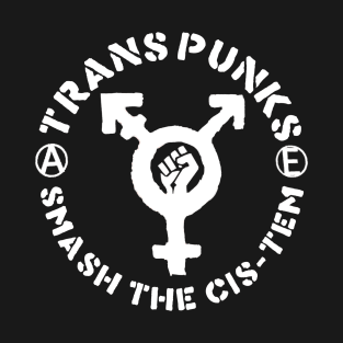 Trans Punks - Smash The Cis-Tem T-Shirt