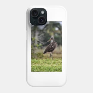 Juvenile Anhinga on the Lookout Phone Case