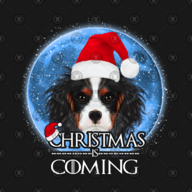 christmas is coming cavalier king charles spaniel dog king charles spaniel weight chart