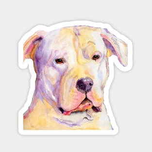 Dogo argentino Magnet