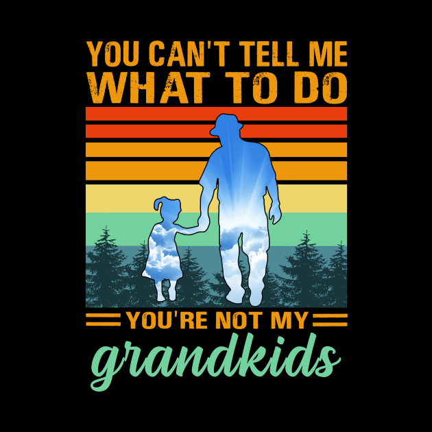 you can't tell me what to do you're not my grandkids by binnacleenta