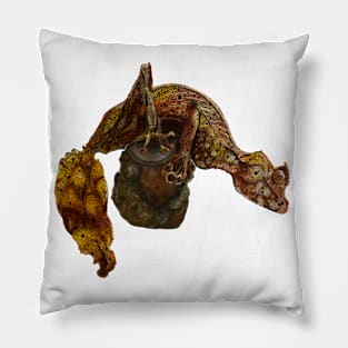 Uroplatus Phantasticus Pillow