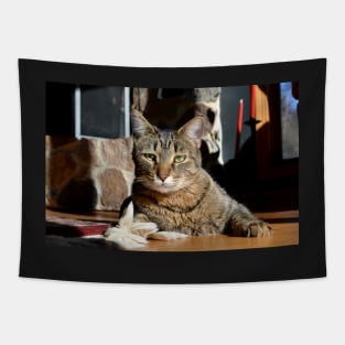 Brown Tabby Tapestry