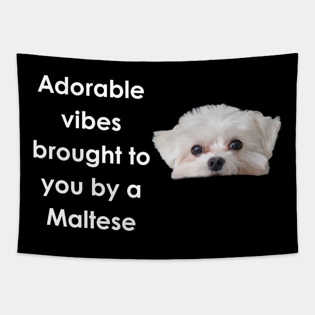 Maltese Magic: Adorable Vibes Collection! Tapestry by jachu23_pl