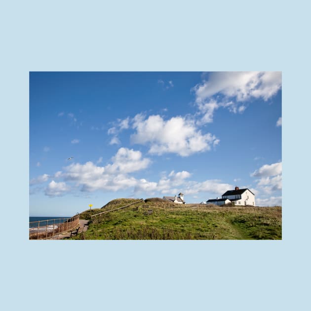 Rocky Island, Seaton Sluice by Violaman