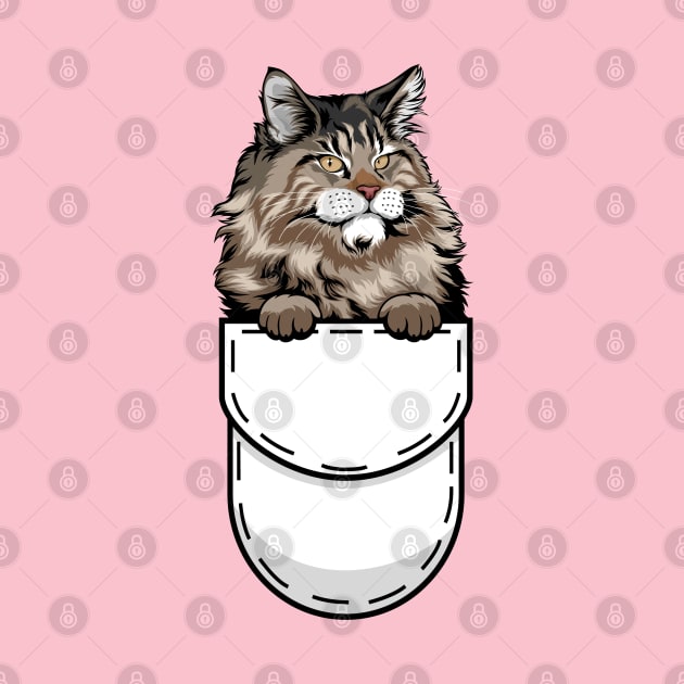 Funny Maine Coon Pocket Cat by Pet My Dog