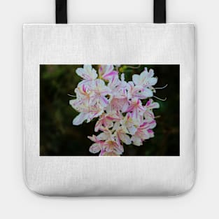 Bicolor Azaleas Tote