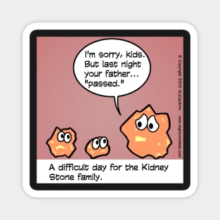 Kidney Stone Family Magnet