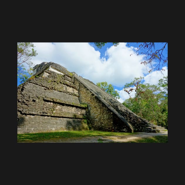 Guatemala - site archéologique de Tikal by franck380