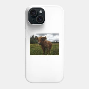 Scottish Highland Cattle Calf 2057 Phone Case