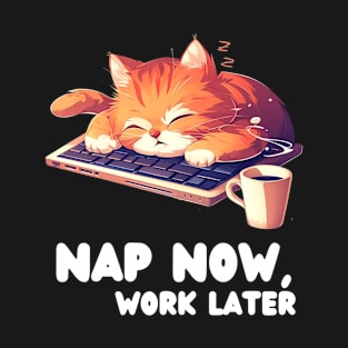 Naptime Kitty - Cat Napping by Keyboard T-Shirt