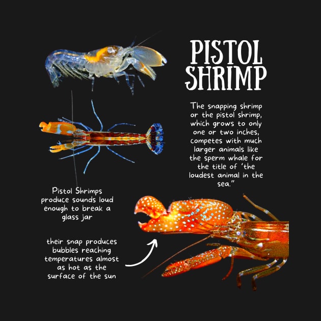 Animal Facts - Pistol Shrimp by Animal Facts and Trivias