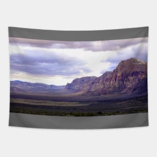 Mojave Desert Nevada Tapestry