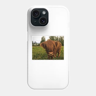 Scottish Highland Cattle Calf 2052 Phone Case