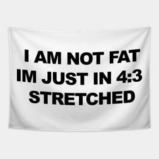 I am not fat, im just in 4:3 stretched Tapestry