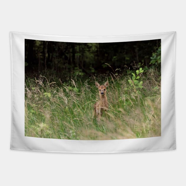 Baby deer in the woods Tapestry by Photomisak72