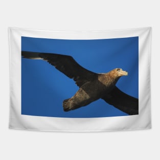 Giant Petrel Flying High Tapestry