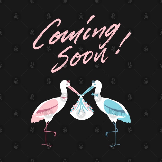 Mother's To Be, New Moms, Baby Announcement Cute, Storks, Coming Soon Design by BirdsnStuff