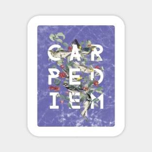 Carpe Diem - Modern Typography with Vintage Birds in Periwinkle Magnet