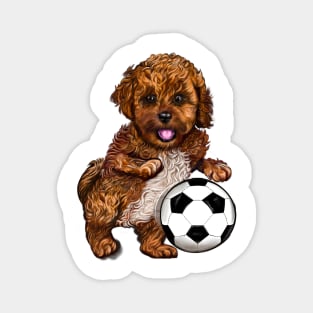 Cavapoo puppy dog with football soccer ball Magnet