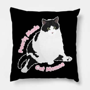 Colonel - Poorly Made Cat Memes Pillow
