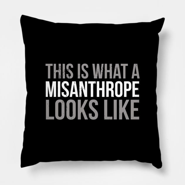 Misanthrope Pillow by tanambos