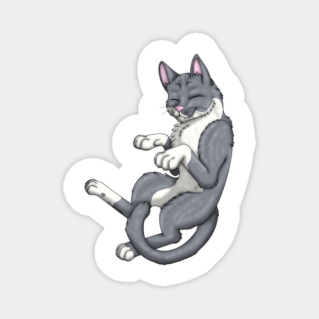 Grey Bicolor Shorthair Magnet by spyroid101