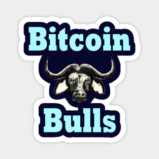 Bitcoin Bull Run Crypto Currency Magnet