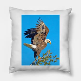 Bald Eagle Preparing for Flight Pillow