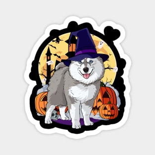 Pomsky Happy Halloween Witch Pumpkin Magnet