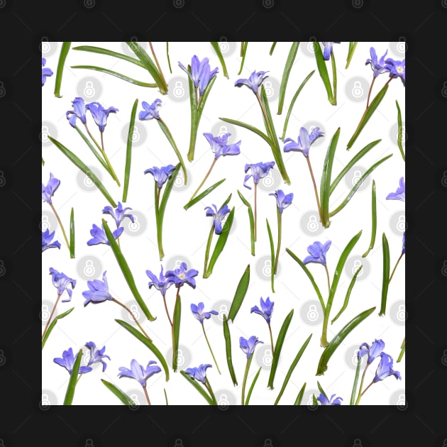 Snowdrops flowers pattern by olgart