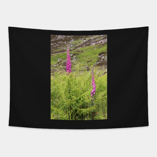 Foxgloves Tapestry by orcadia