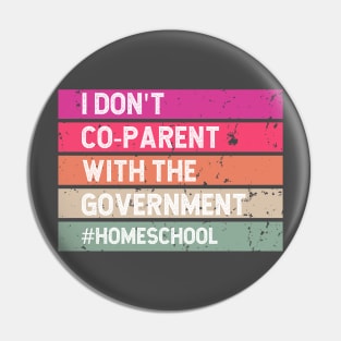 I don't Co-Parent with the Government in Colorblock Pin