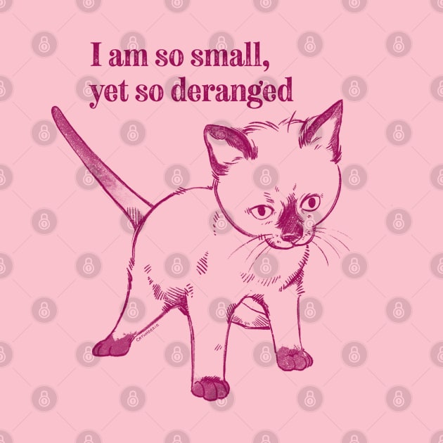 I am so small, yet so deranged kitten by Catwheezie