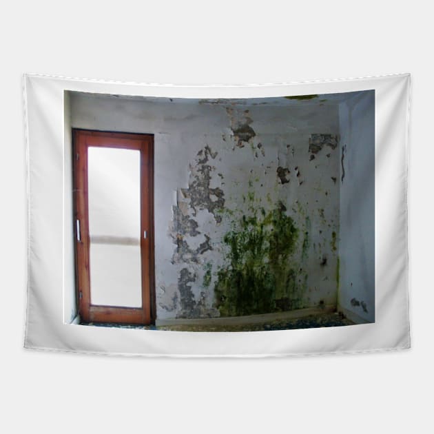 Mouldy Wall Tapestry by SHappe