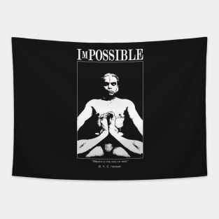 ImPossible : B.K.S. Iyengar Tapestry