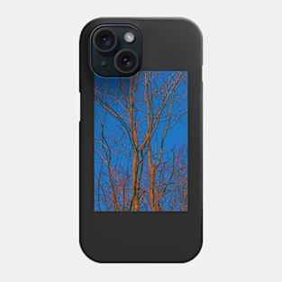 Neon Trees Phone Case