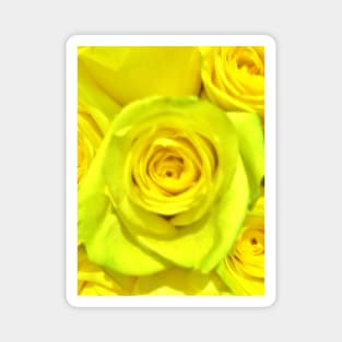 Gift for a Friend, Yellow Rose Floral Display The flower of Friendship - Autumn Bouquet - Flowers Magnet