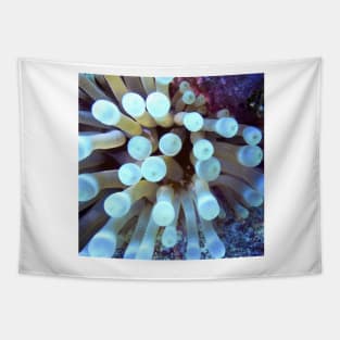 Sea Anemone Tapestry