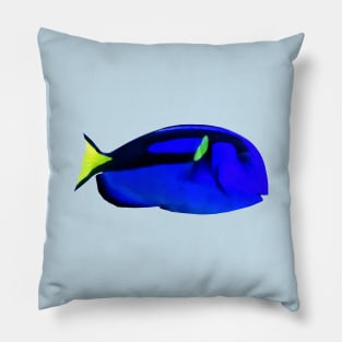 Fish - Blue Tang Pillow