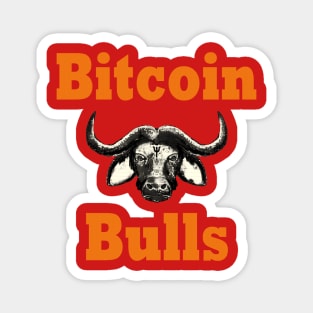 Bitcoin Bull Run Crypto Currency Magnet