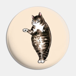 Cat dot dot belly Pin