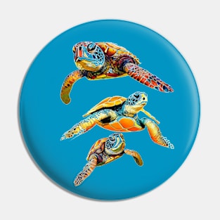 Beautiful Colorful Sea Turtles Pin