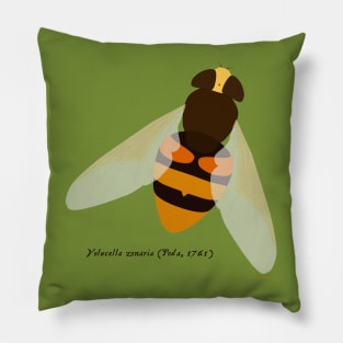 Hoverfly Volucella zonaria Pillow